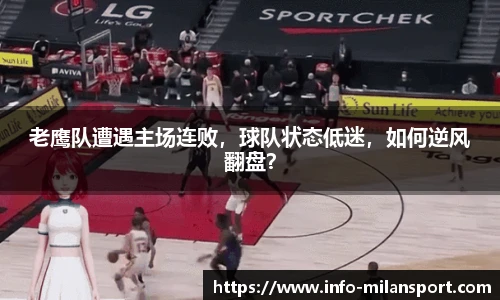 米兰体育官方网站入口